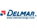 Delmar Corporate Presentation (305播放)