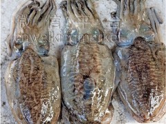 土豪银海鲜大礼包580元混包装,新年礼品图3