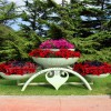 立体组合花盆 景观小品 市政美化 艺术花器 铁艺花架