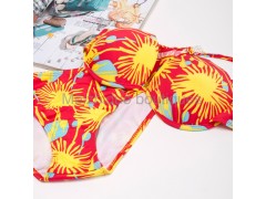 BIKINI温泉泳衣女士钢托加厚胸垫比基尼游泳衣图3