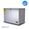 110V船用外贸冷藏250L冰柜